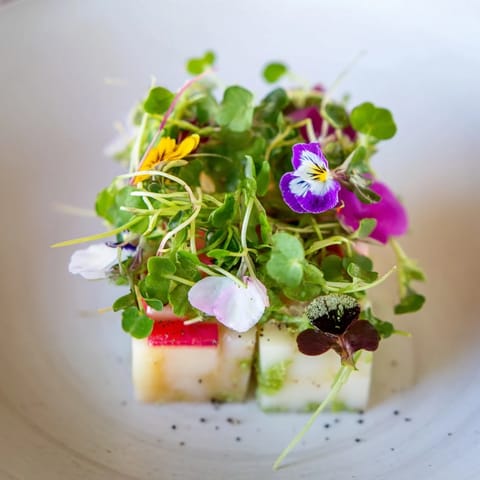 Vibrant The Secret Garden appetizer featuring assorted cheeses and peppery microgreens for a fresh start.